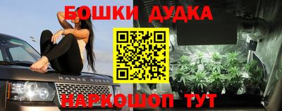 гашик Лесосибирск