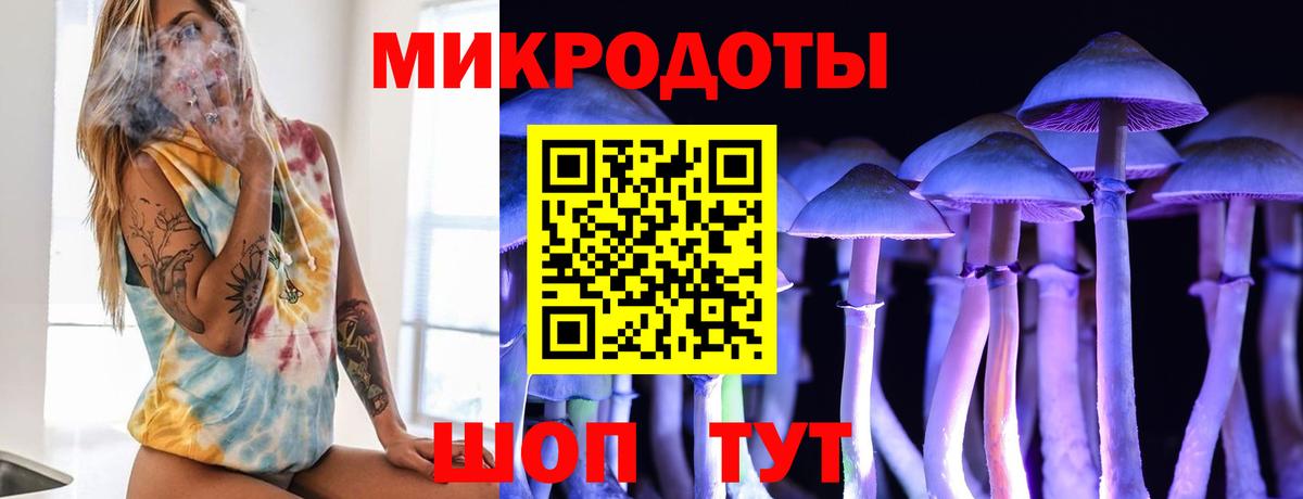 Галлюциногенные грибы Cubensis Дзержинск