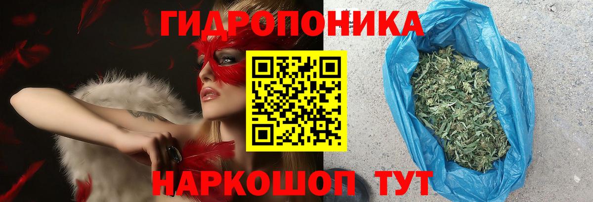 Каннабис ГИДРОПОН Дзержинск
